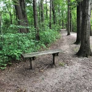 Meet your Posher, Bj